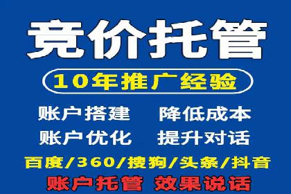 某大型企业选择SEM竞价代运营公司的决策过程与效果评估